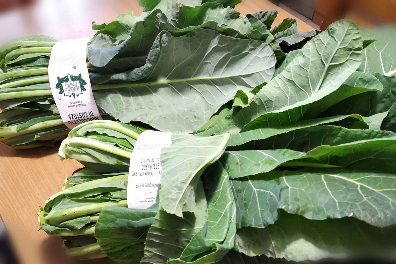 Broccoletto di Custoza, Presidio Slow Food