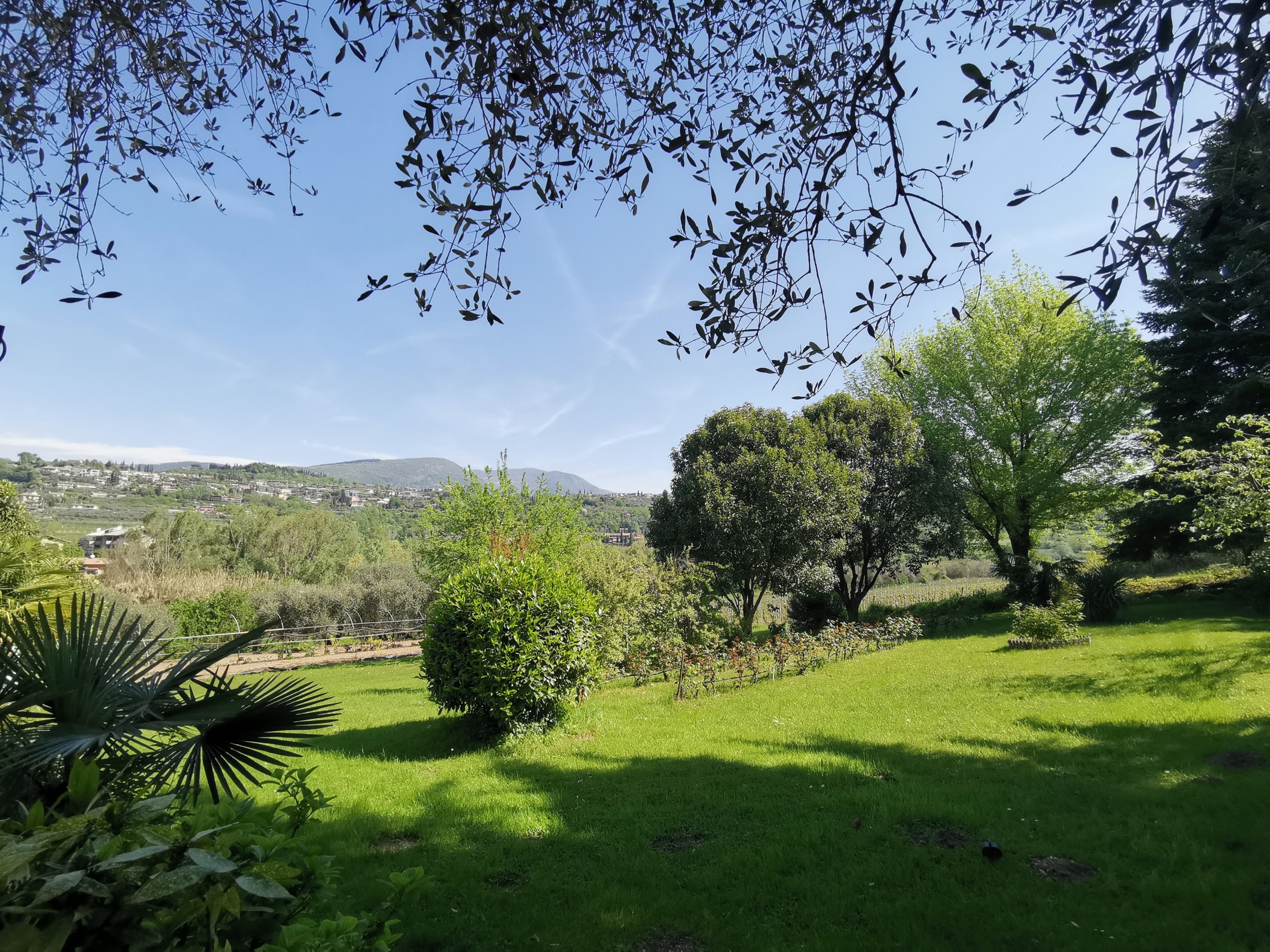 Vista verde dal giardino del Ristorante Le Rasole a Garda